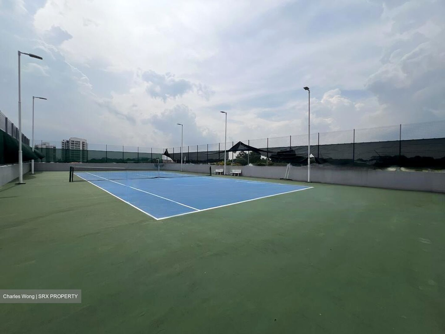 Robin Residences (D10), Condominium #439098501